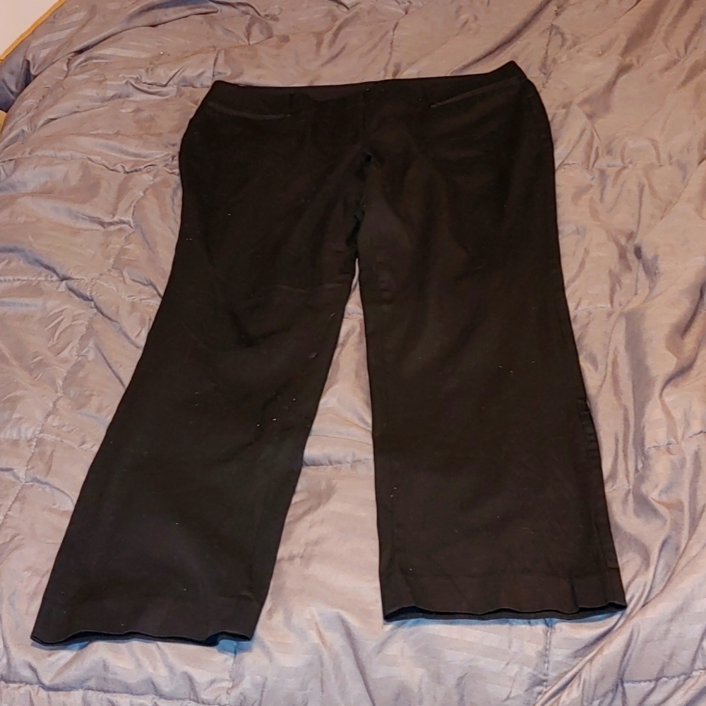 New York & Co. Pants
